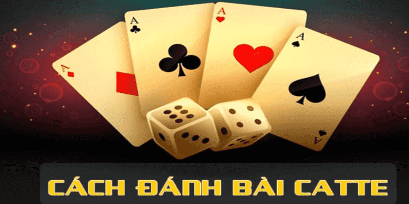 Thông tin quy định trong luật chơi game bài Catte